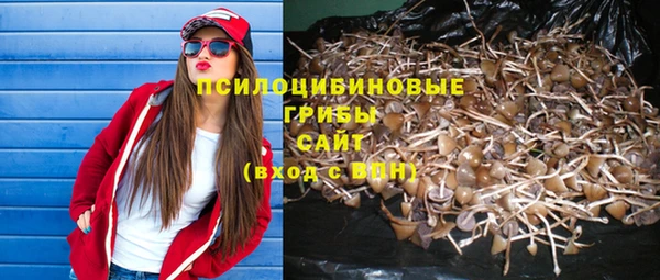 СК Алзамай