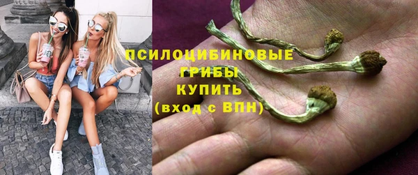 a pvp Алексин