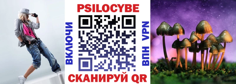 Галлюциногенные грибы Psilocybe  где найти   Лесосибирск 